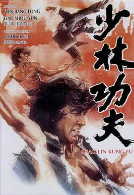【动作片】少林功夫